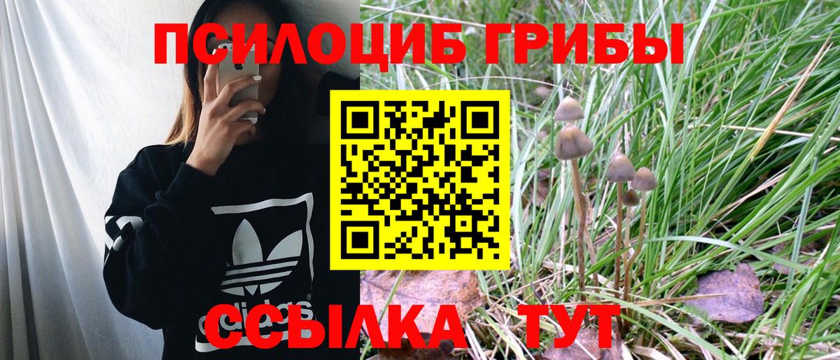 Галлюциногенные грибы Cubensis Тула