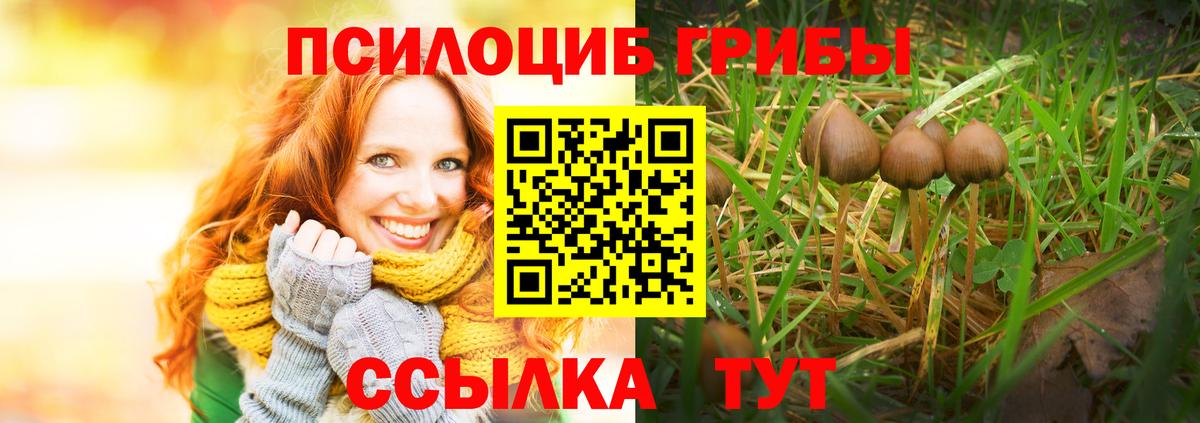 Тула  Псилоцибиновые грибы Psilocybine cubensis  Вход с VPN 